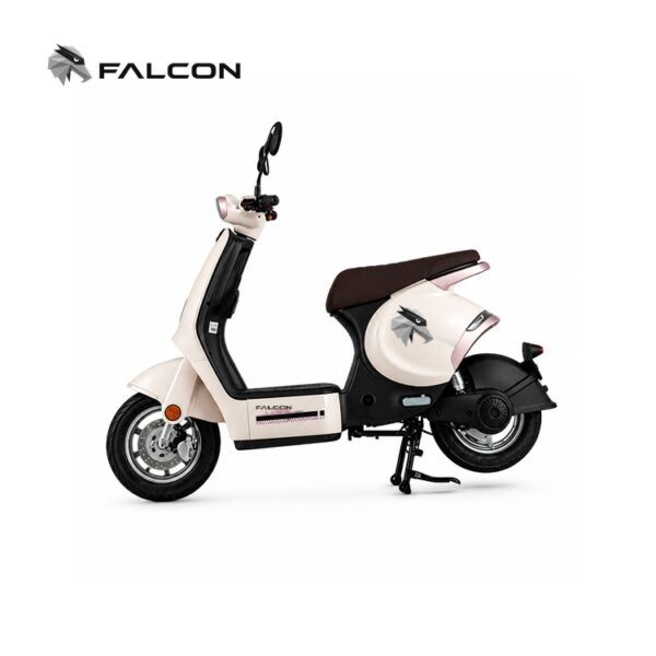 Urban Electric Scooter