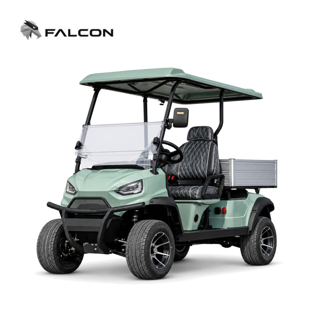 Electric Golf Cart GG-DP018
